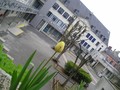 Collège Littré Collège Littré