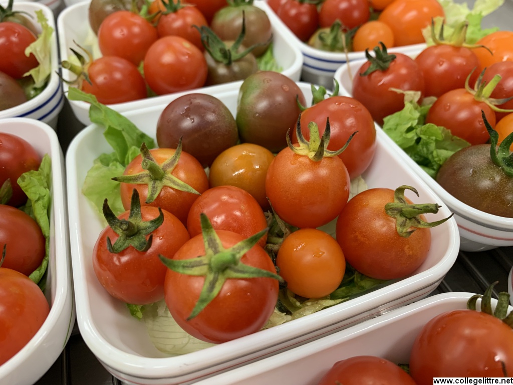 Tomates cerises bio et locales