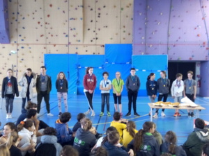 Article n°515 Article n°515