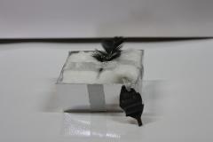 IMG_1863 IMG_1863