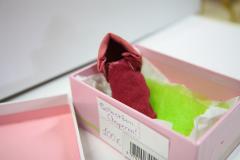 IMG_1879 IMG_1879
