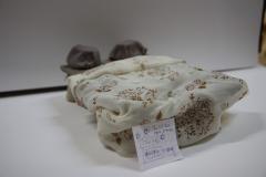 IMG_1880 IMG_1880
