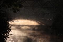 IMG_2251
