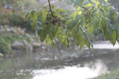 IMG_2281