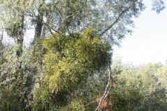 IMG_2361