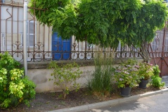 Collège Littré Collège Littré