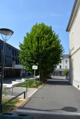 Collège Littré