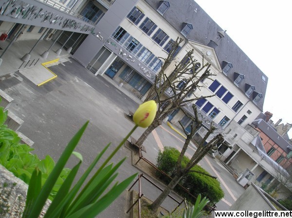 Collège Littré