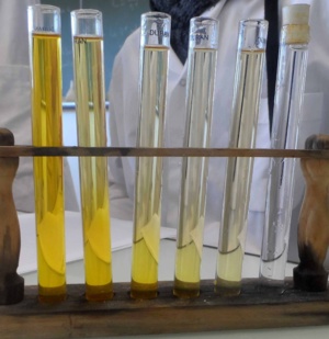 La science en couleurs La science en couleurs