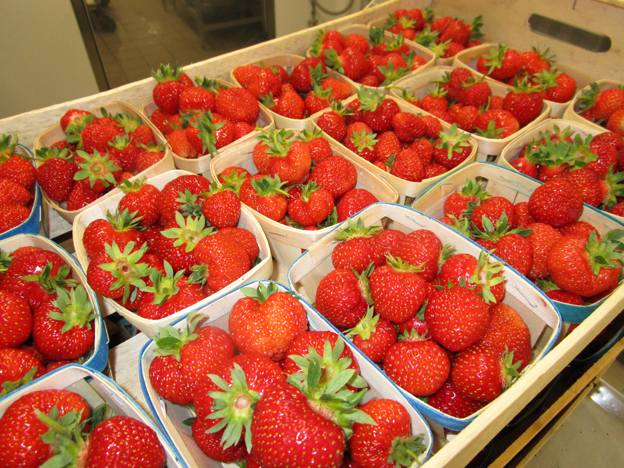 Fraises bio et locales Fraises bio et locales
