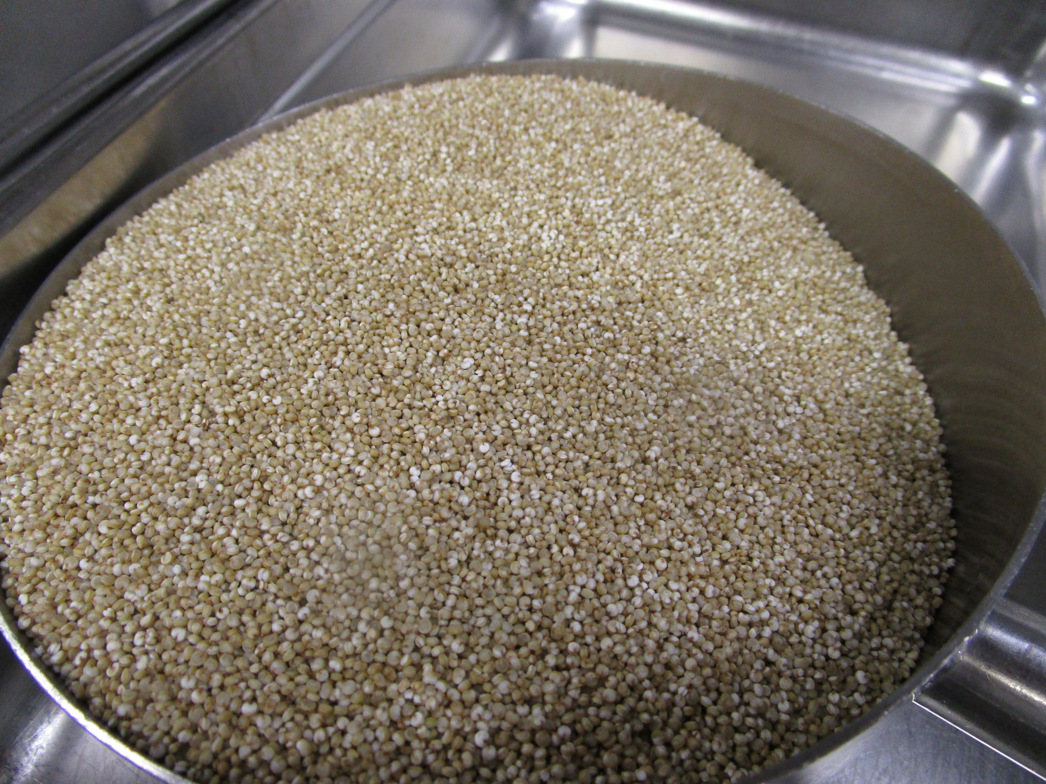 Quinoa local Quinoa local
