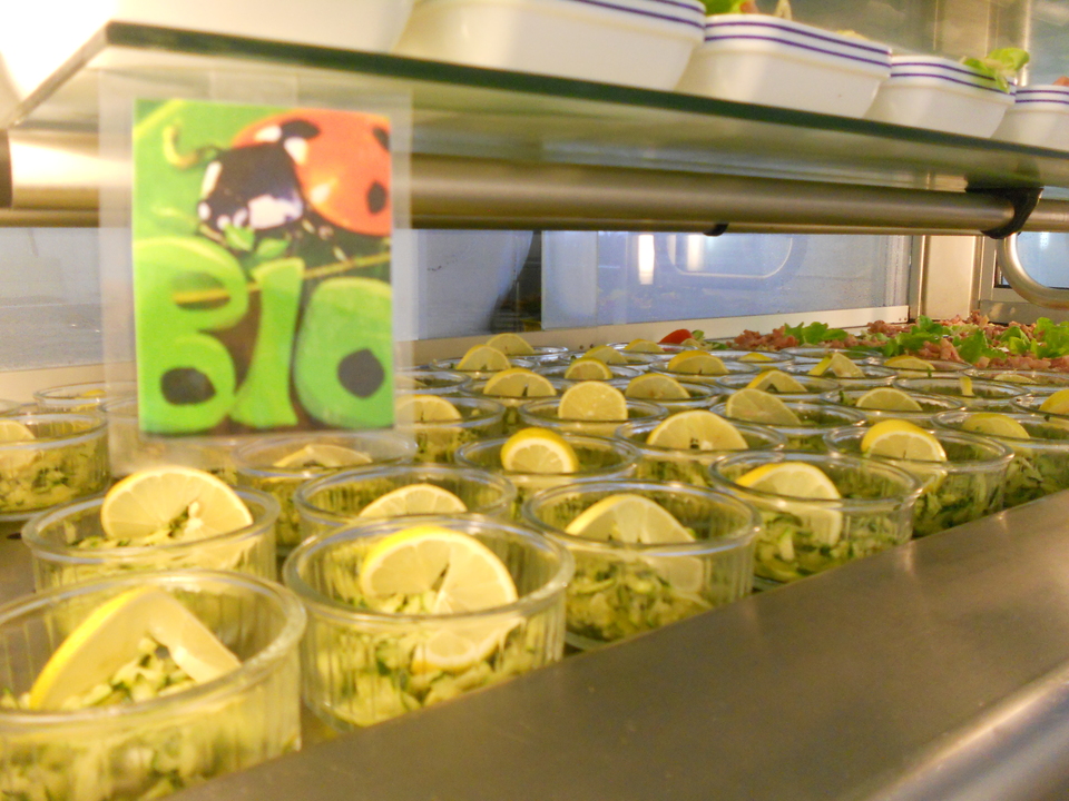 Courgette bio Courgette bio