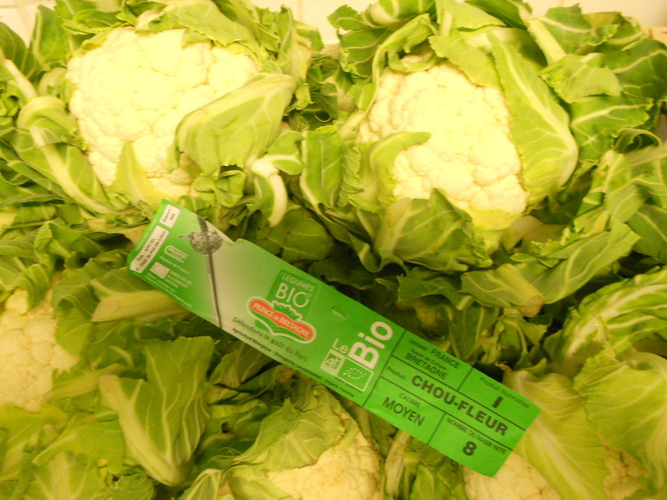 Légumes bio de février Légumes bio de février
