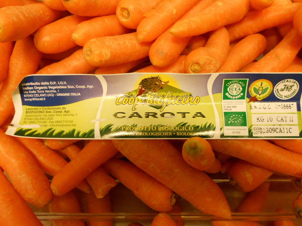 Légumes bio de février Légumes bio de février