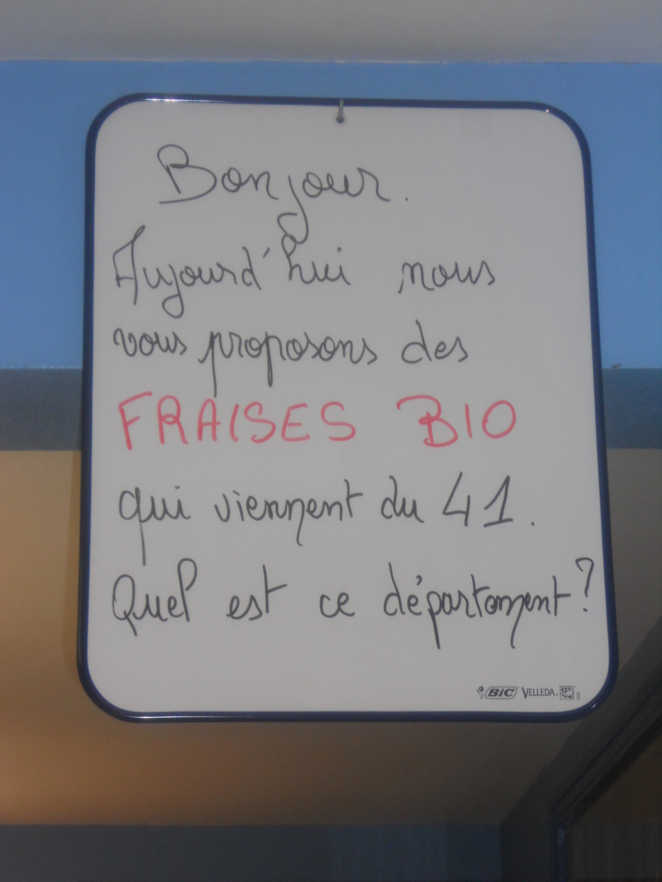 Fraises BIO Fraises BIO