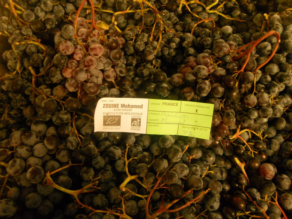 Raisin bio Raisin bio