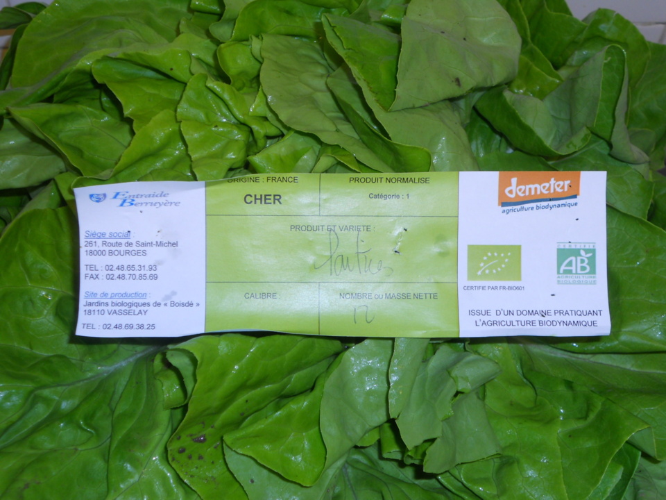 Laitue "local et bio" Laitue "local et bio"