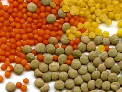 Retour en image sur la semaine de Camille et Bertille Retour en image sur la semaine de Camille et Bertille