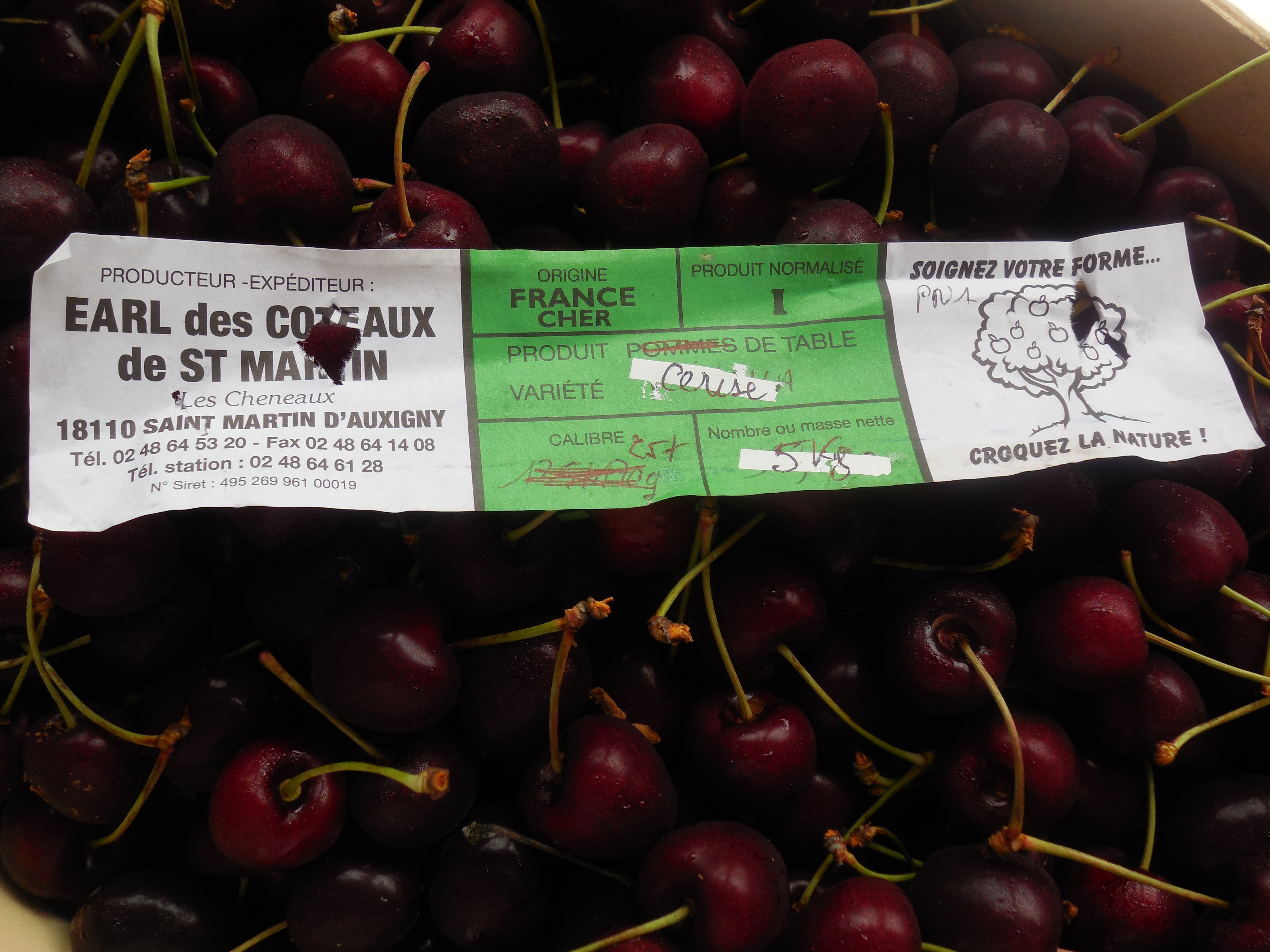 Cerises locales Cerises locales