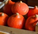 https://www.collegelittre.net/restauration/Menu-du-2-au-6-octobre-2023_a728.html