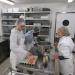 IMG_0662 IMG_0662