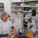 IMG_0664 IMG_0664