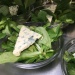 salade de mâche bio et local salade de mâche bio et local