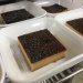 IMG_0028 IMG_0028