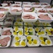 IMG_0703 IMG_0703