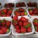 IMG_0710 IMG_0710