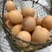 IMG_0025 IMG_0025