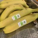 IMG_1681 IMG_1681