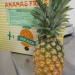 IMG_0725 IMG_0725