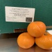 IMG_1691 IMG_1691