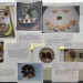 IMG_3456 IMG_3456