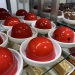 IMG_4161 IMG_4161