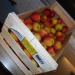 pommes de st georges sur moulon achetées à m.Clavier