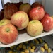 IMG_5358 IMG_5358