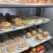 IMG_5521 IMG_5521