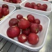 IMG_6299 IMG_6299