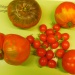 Variétés de tomate proposées