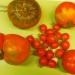 Variétés de tomate proposées Variétés de tomate proposées