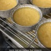IMG_1866 IMG_1866