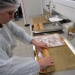 IMG_0457 IMG_0457