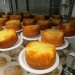 IMG_0467 IMG_0467