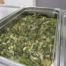 IMG_0521 IMG_0521
