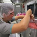 IMG_0549 IMG_0549