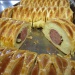 IMG_0566 IMG_0566