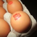 IMG_0641 IMG_0641