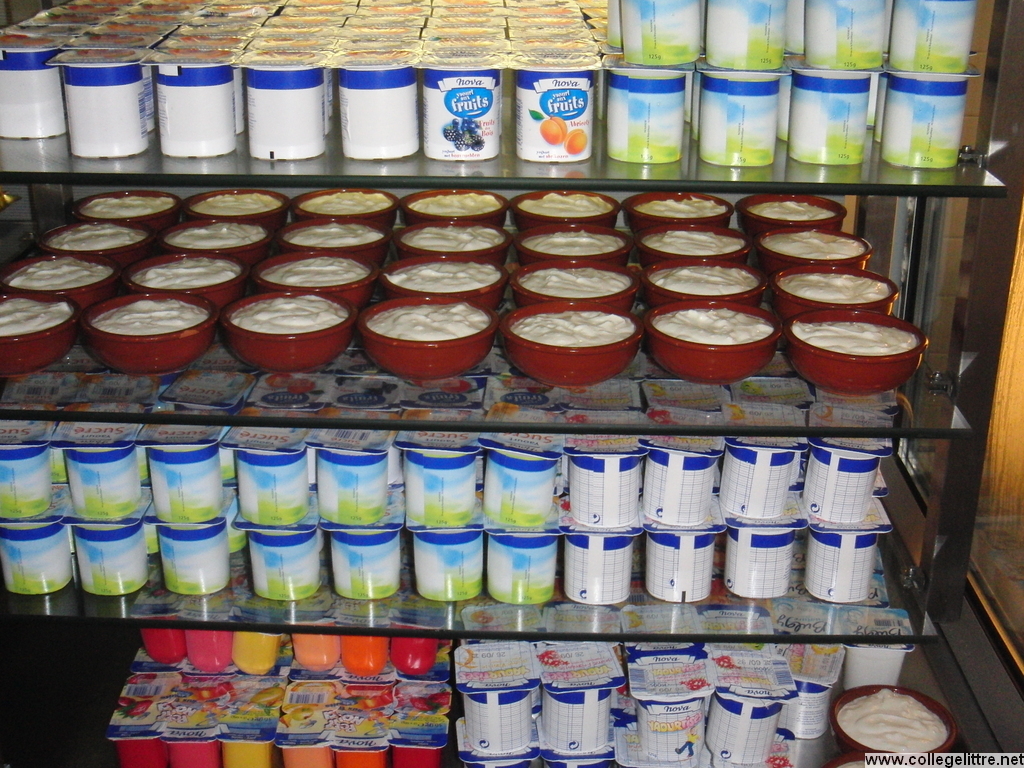 CIMG1545.JPG CIMG1545.JPG